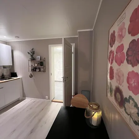 Apartment Brand New And Private Apartment! Bodo