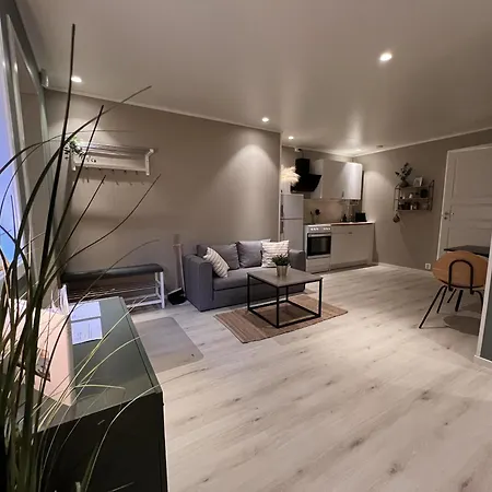 Leilighet Brand New And Private Apartment! *